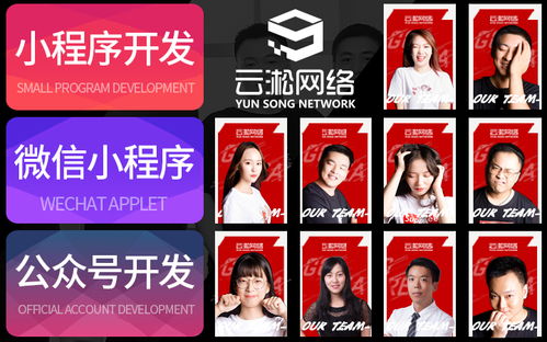 软件测试外包公司与测试开发及软件销售的关系分析