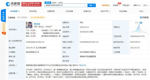 软件销售 策略与实践指南